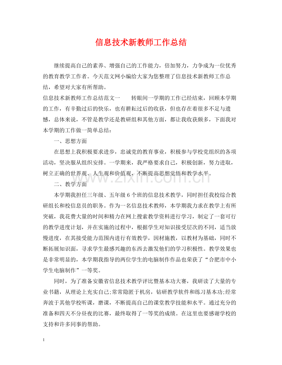 信息技术新教师工作总结.docx_第1页