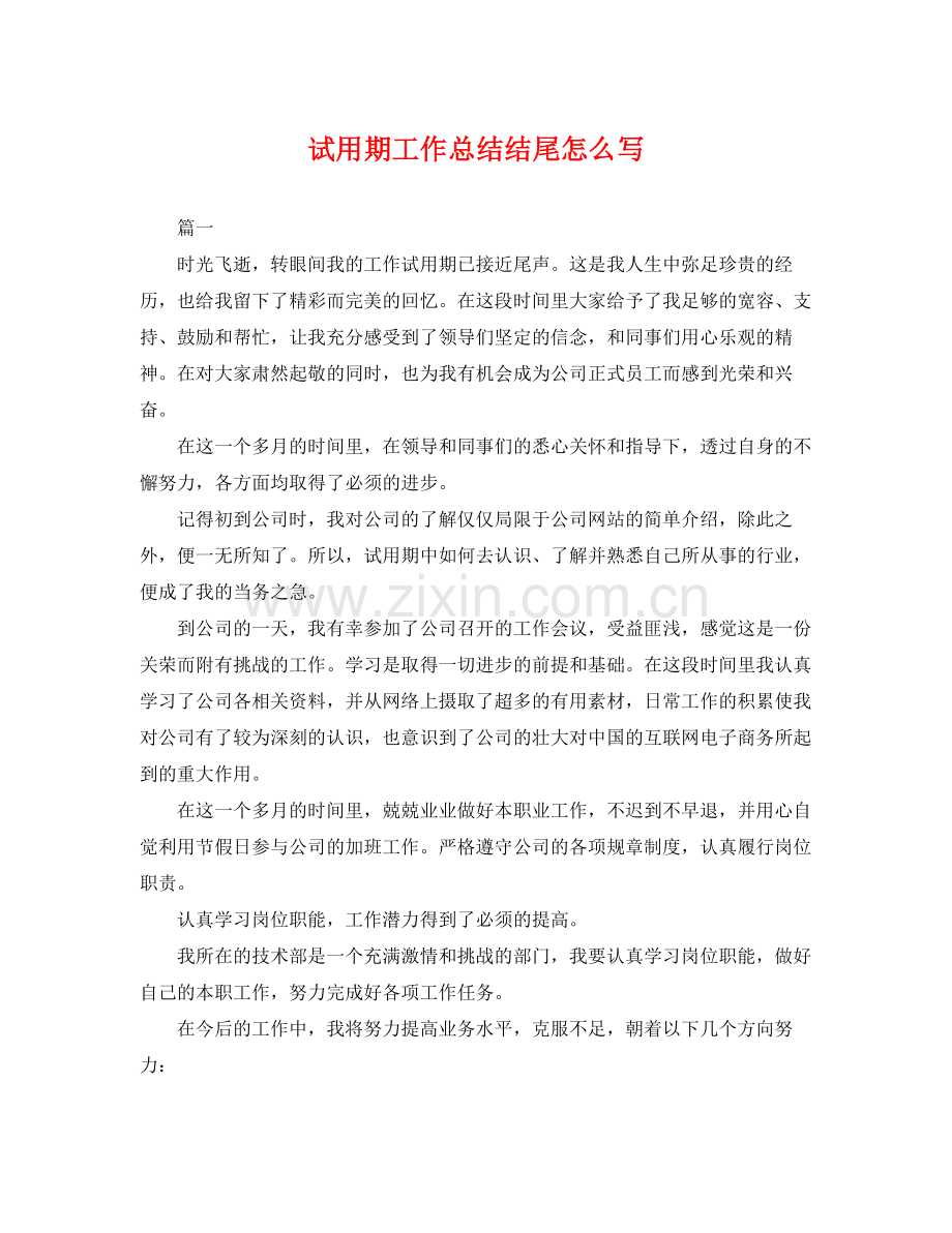 试用期工作总结结尾怎么写 .docx_第1页