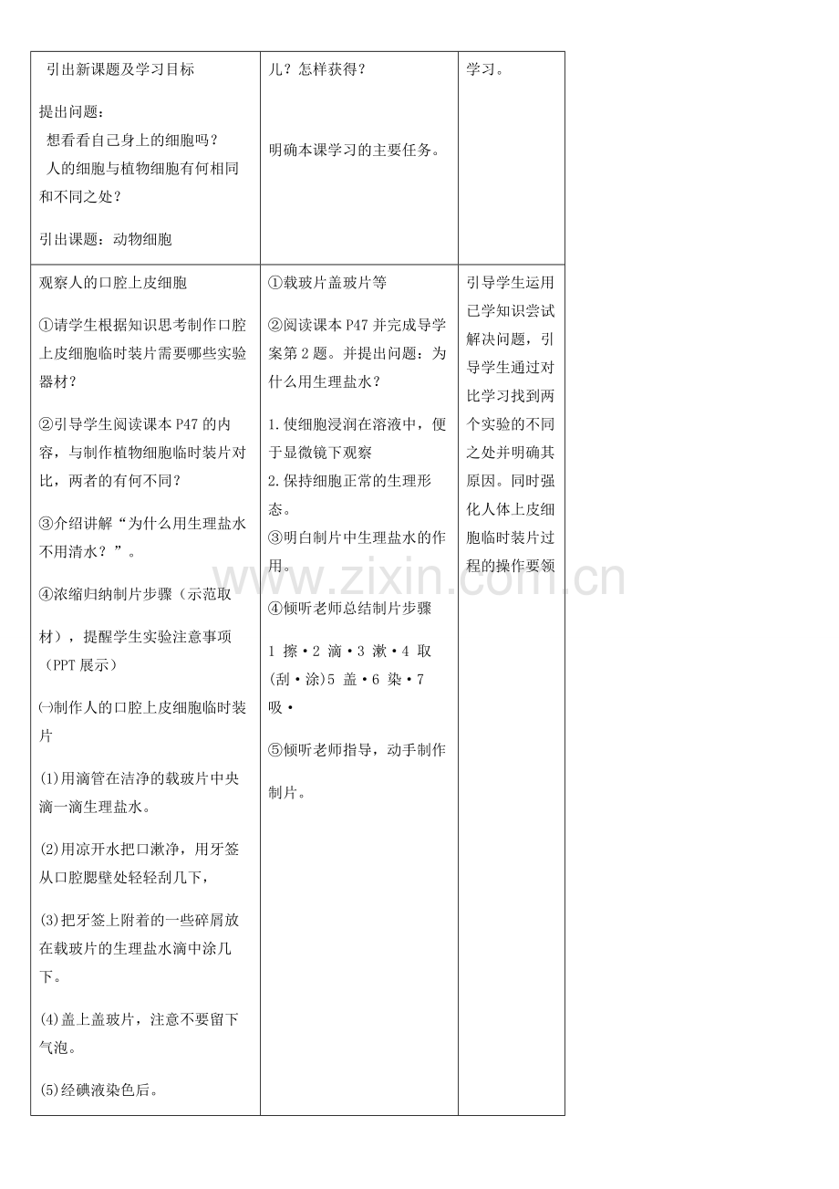 七年级生物上册 第2单元 第1章 第3节 动物细胞教案 （新版）新人教版-（新版）新人教版初中七年级上册生物教案.doc_第2页