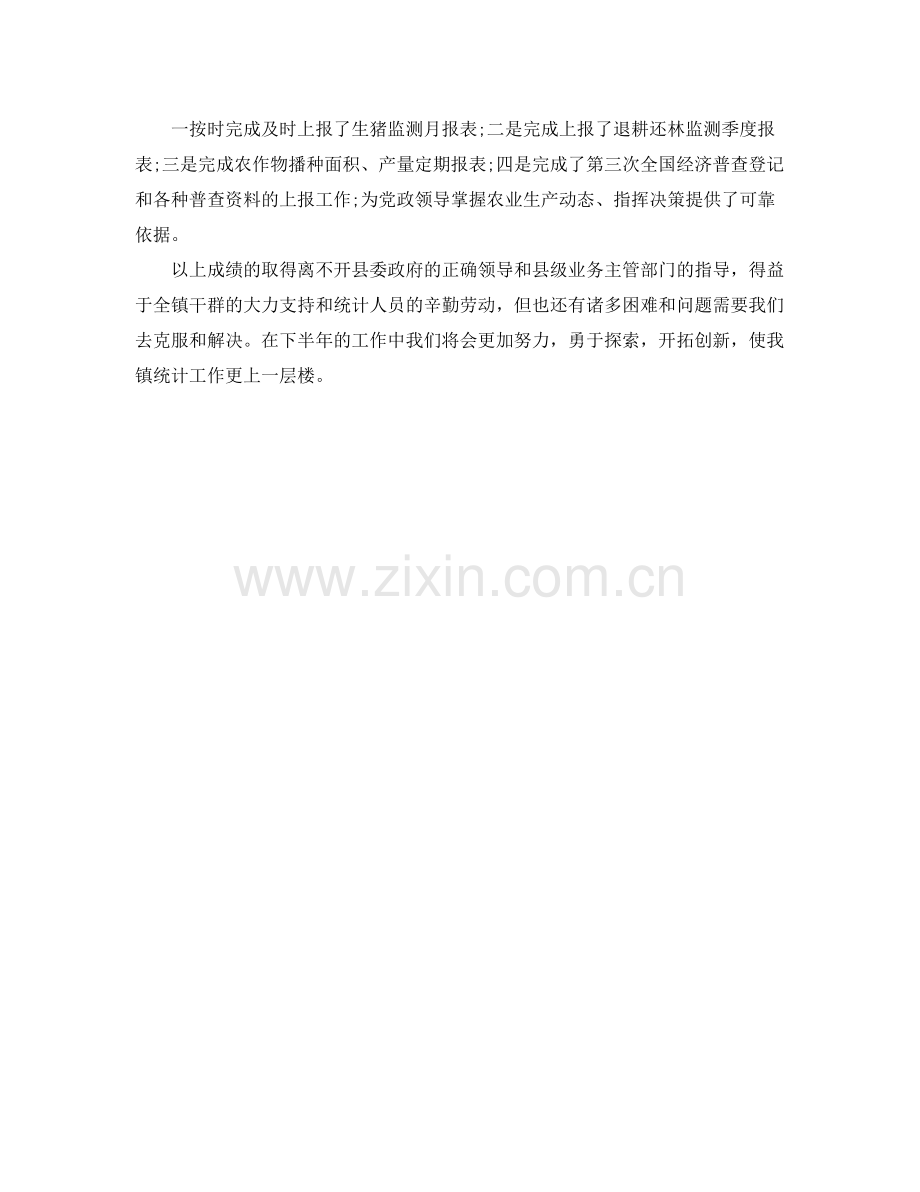 乡镇统计个人工作总结900字 .docx_第2页