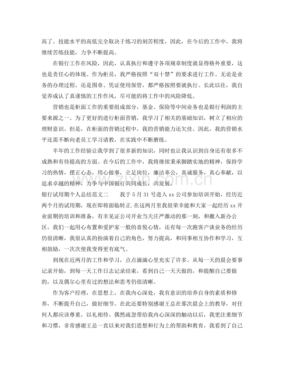 银行试用期个人总结范文.docx_第2页