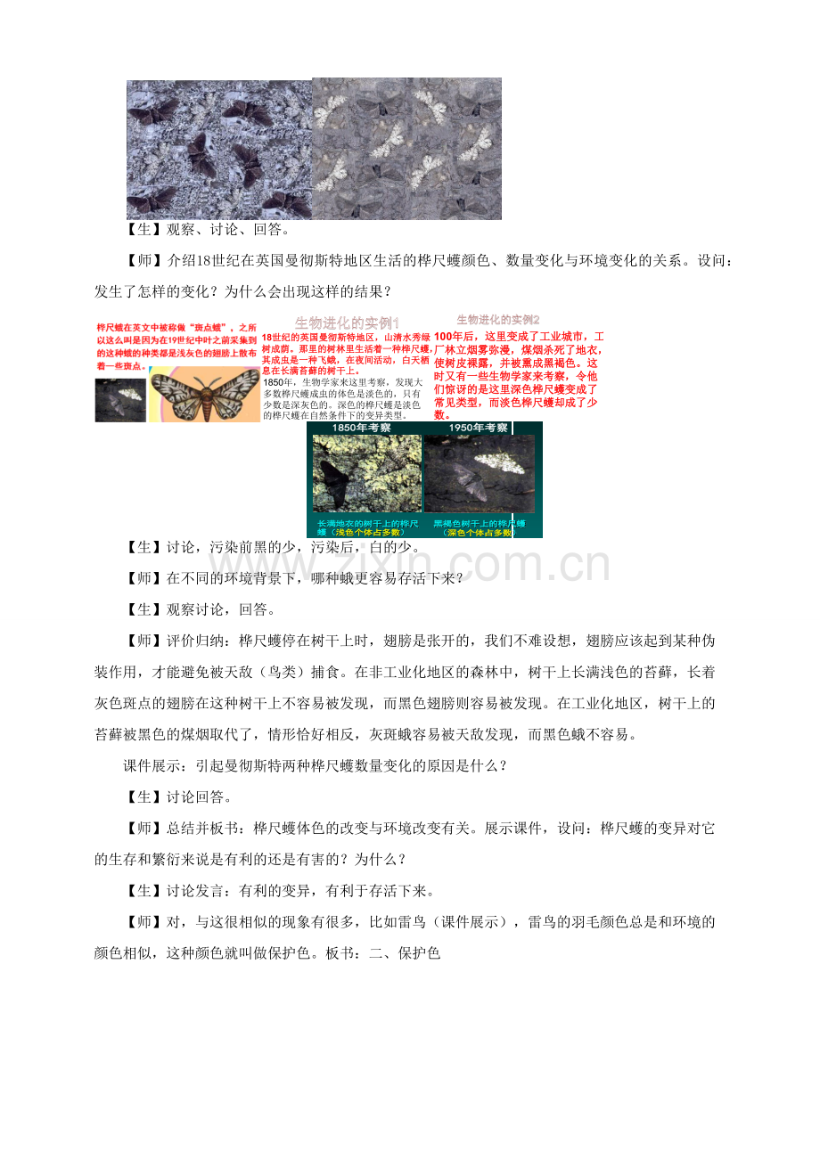 八年级生物下册 第7单元 第3章 第3节 生物进化的原因教案1 （新版）新人教版-（新版）新人教版初中八年级下册生物教案.docx_第3页