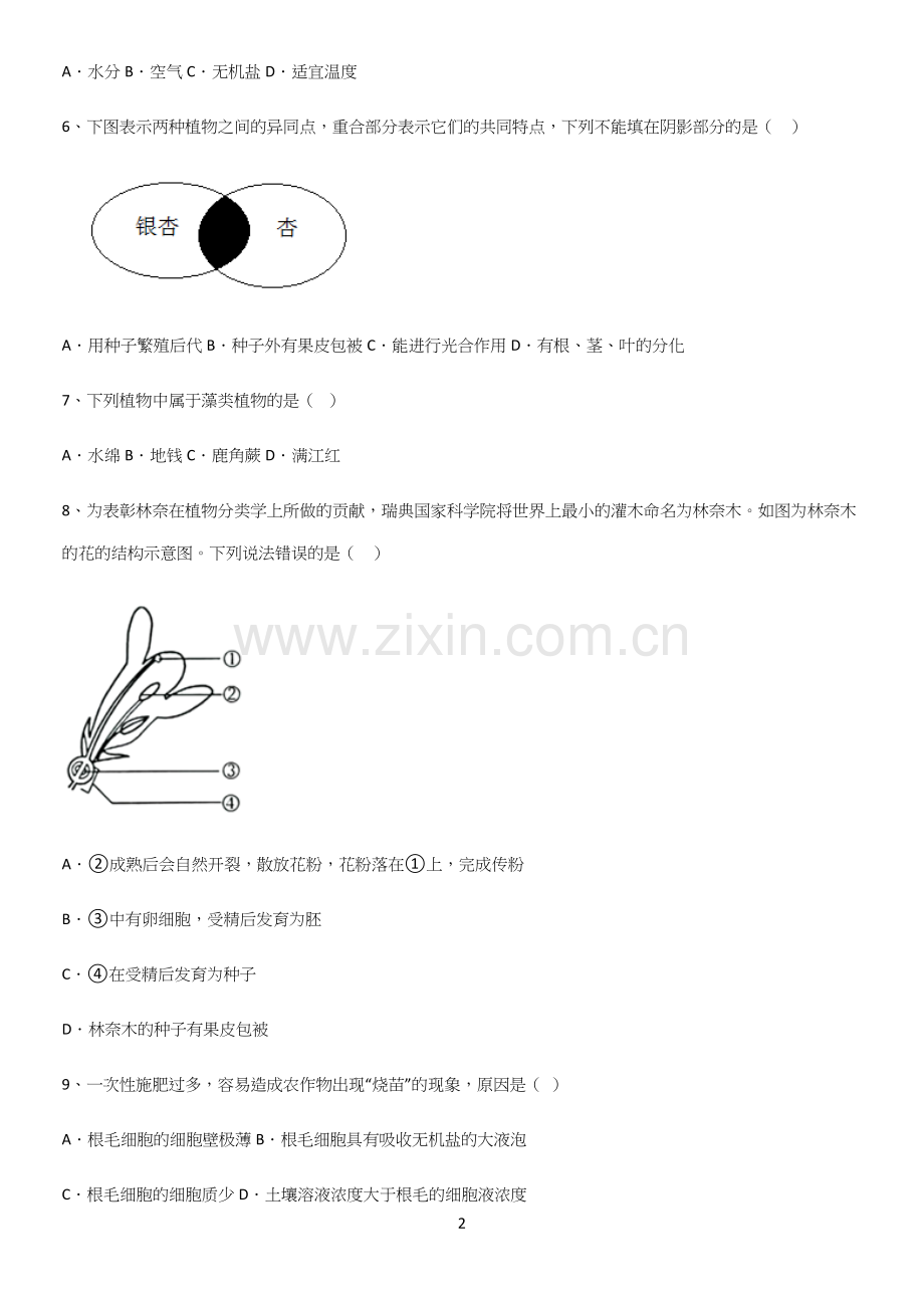 通用版初中生物七年级上册第三单元生物圈中的绿色植物易混淆知识点.docx_第2页