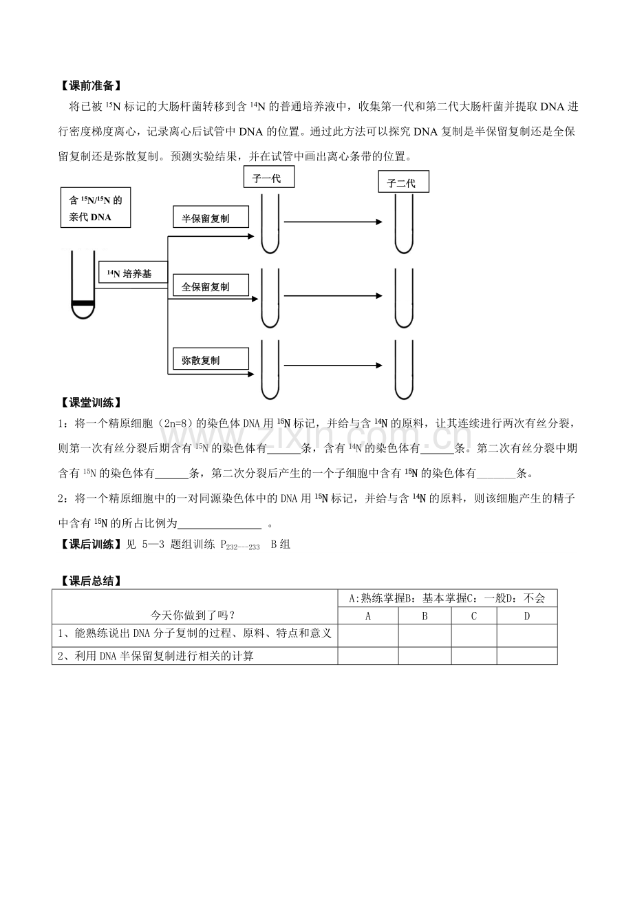 第16讲DNA的复制.doc_第2页