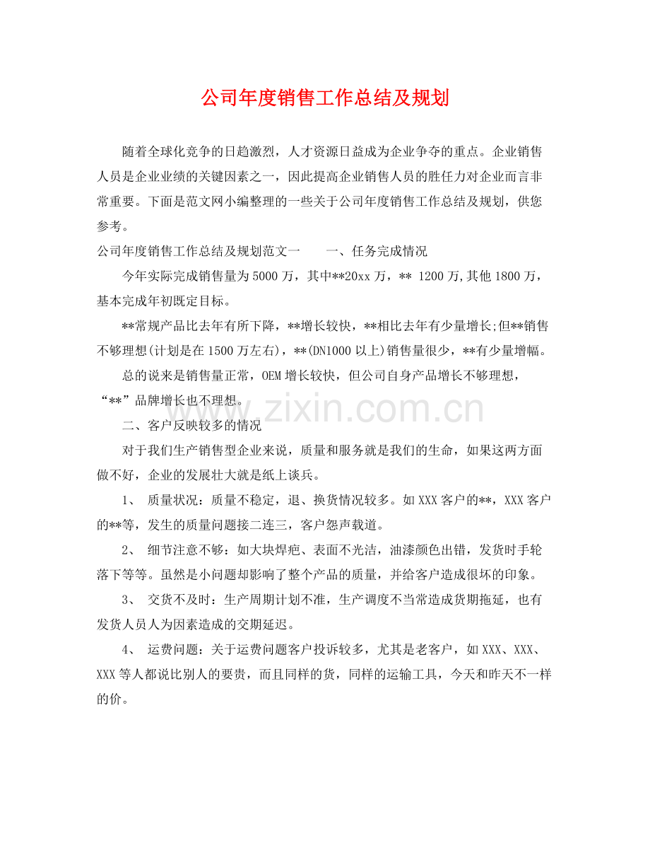 公司年度销售工作总结及规划 .docx_第1页