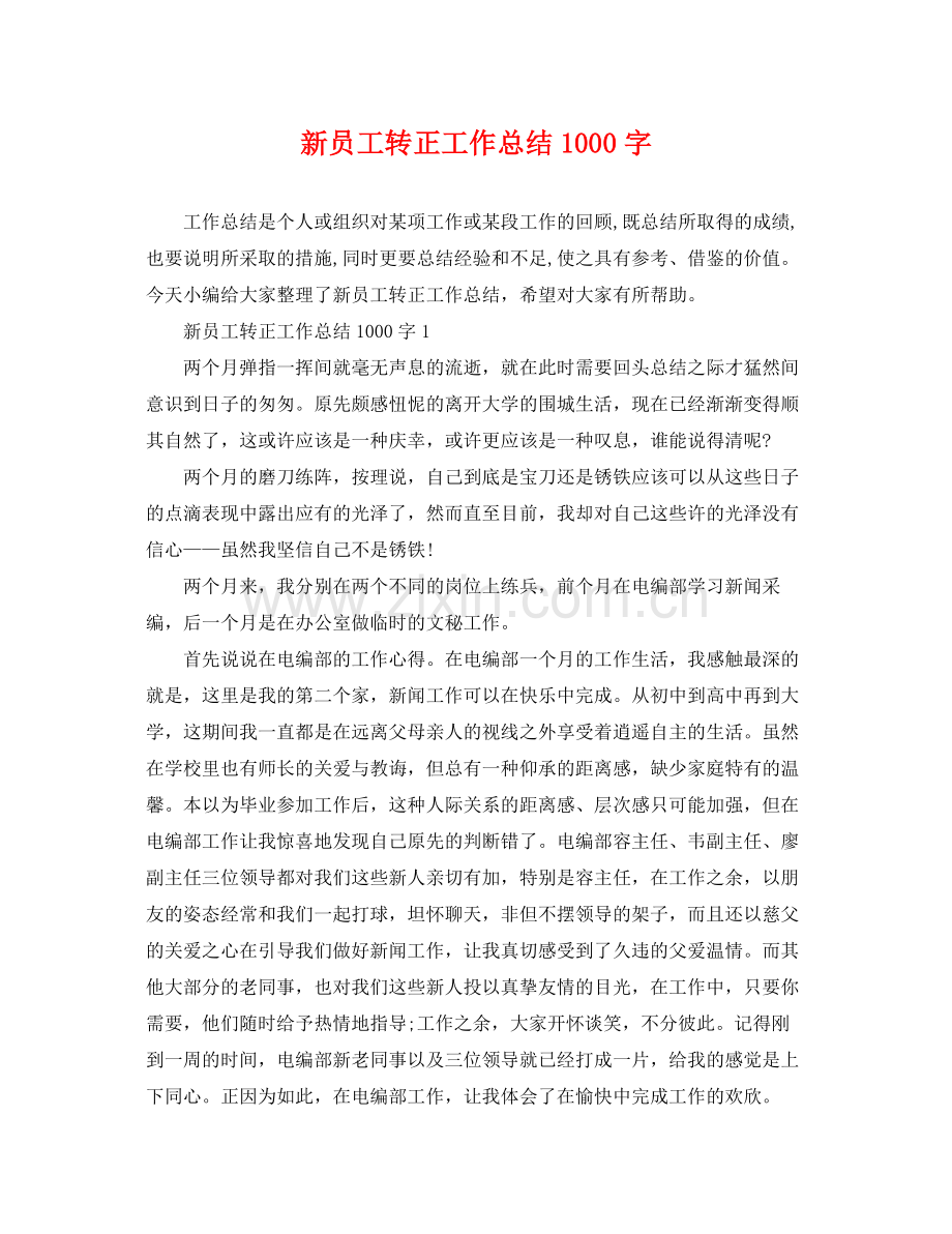 新员工转正工作总结1000字 .docx_第1页