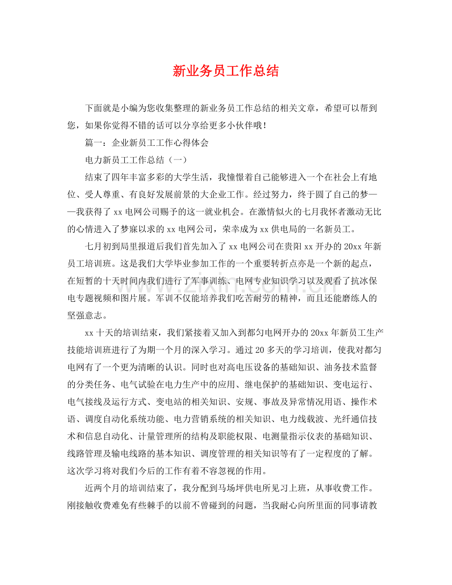 新业务员工作总结 .docx_第1页