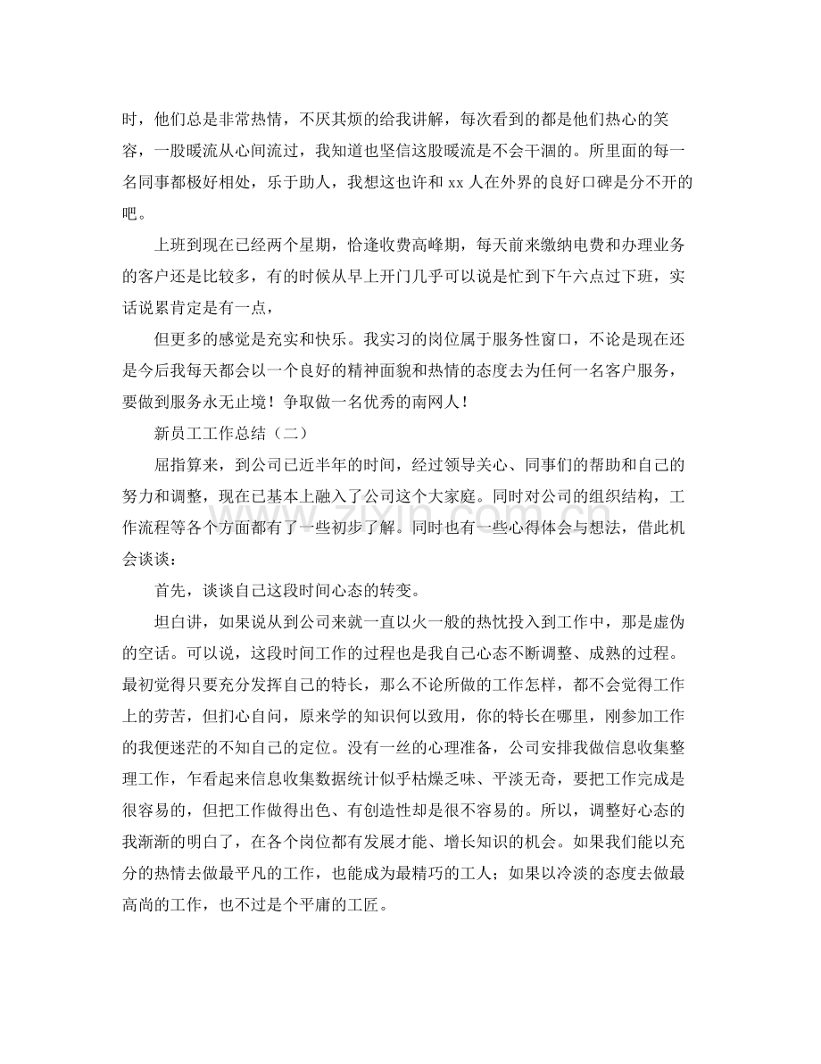 新业务员工作总结 .docx_第2页