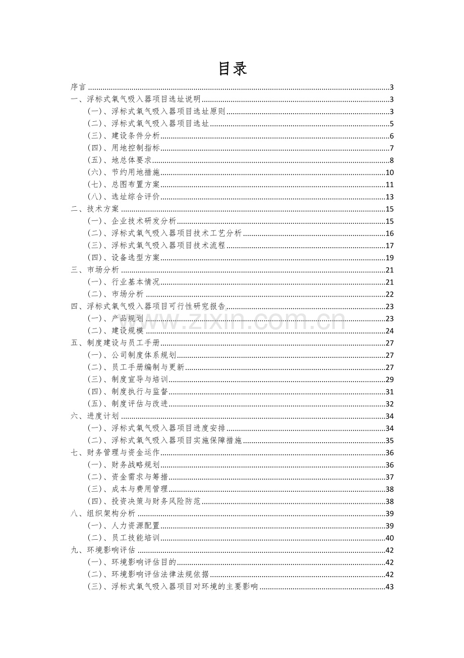 浮标式氧气吸入器项目可行性分析报告.docx_第2页