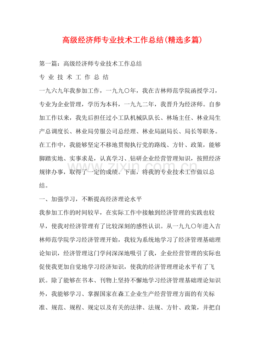 高级经济师专业技术工作总结多篇).docx_第1页