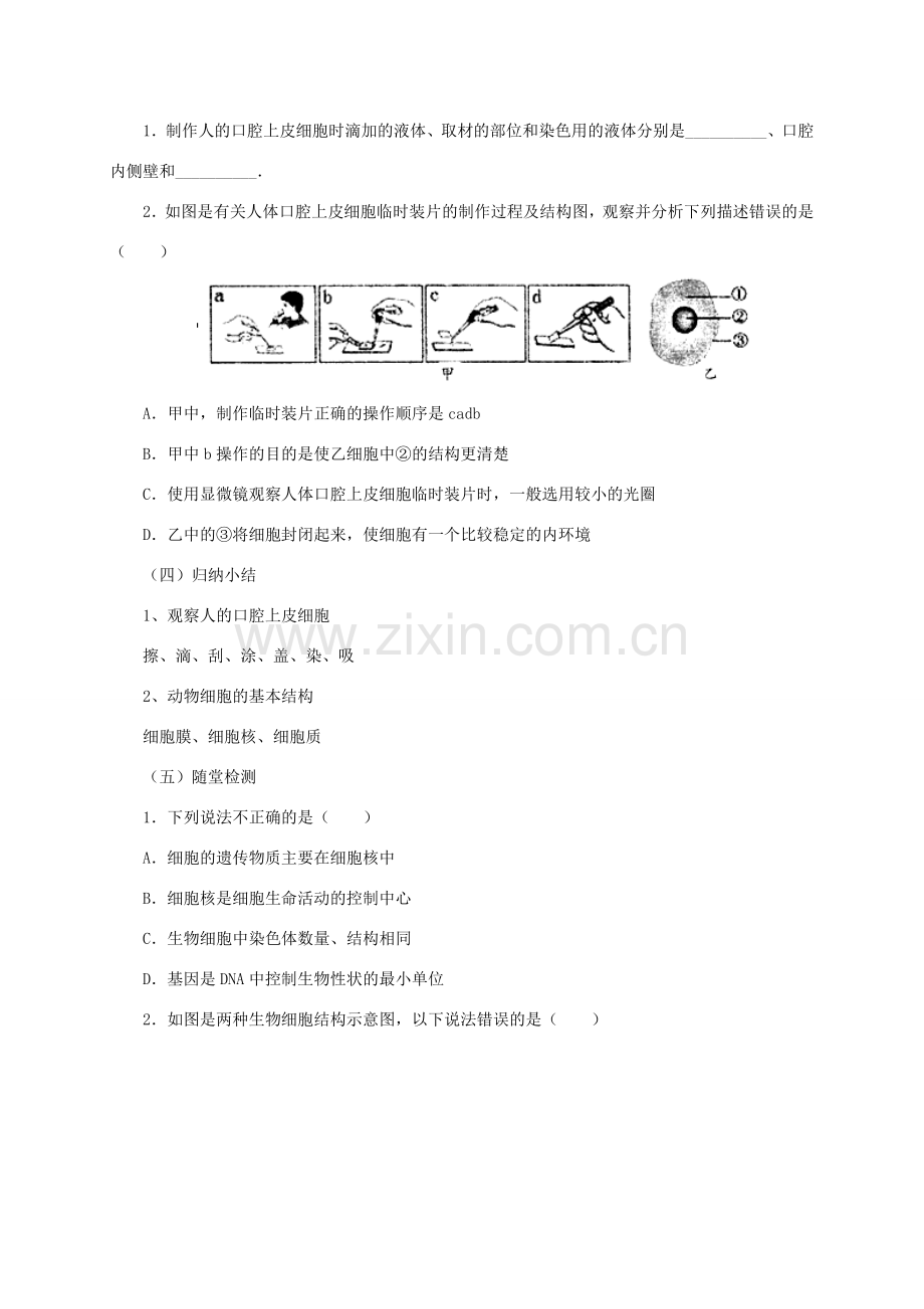 秋七年级生物上册 3.1 细胞教案2 北京课改版-北京课改版初中七年级上册生物教案.doc_第2页