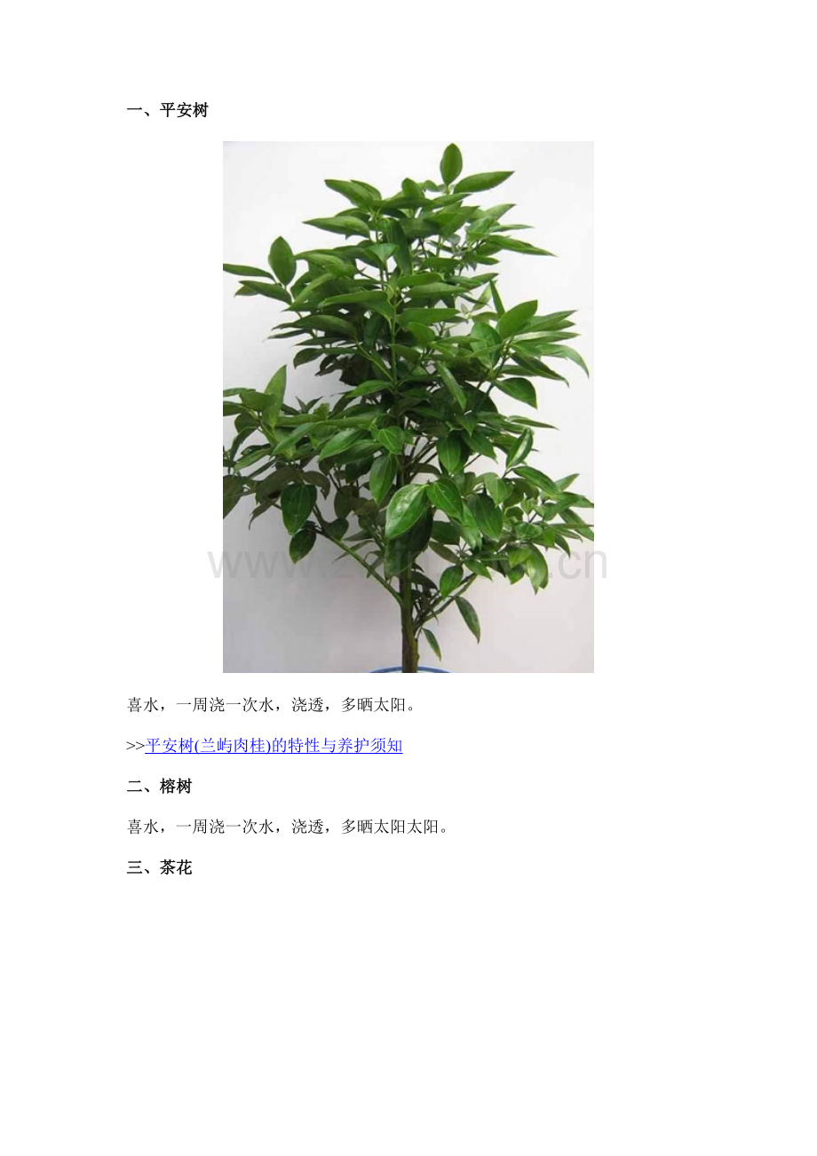 家庭养花：16种常见花卉的养殖经验介绍.doc_第1页