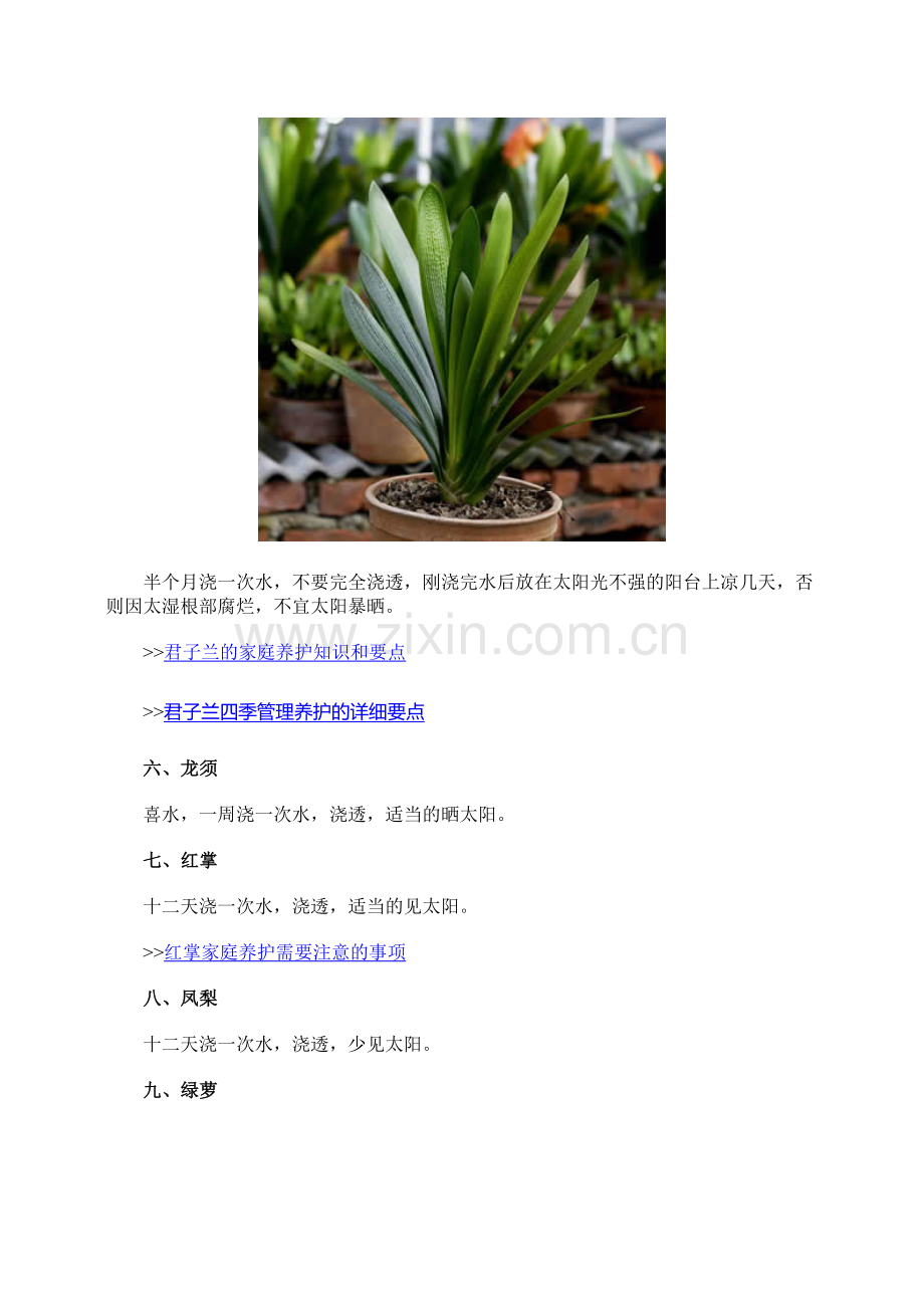 家庭养花：16种常见花卉的养殖经验介绍.doc_第3页