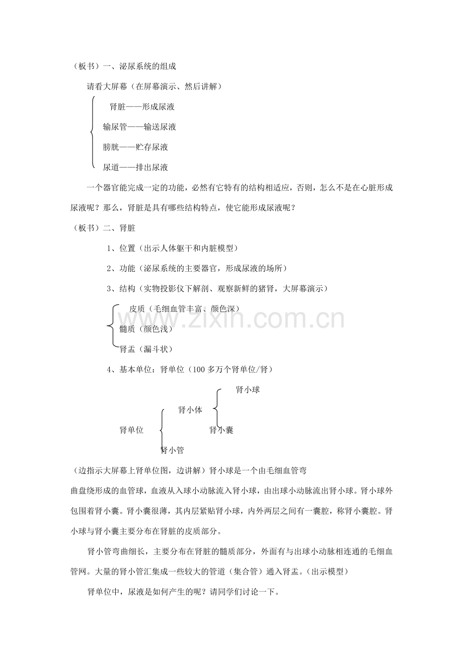 春七年级生物下册 11.2《尿的形成与排出》教案 （新版）北师大版-（新版）北师大版初中七年级下册生物教案.doc_第2页