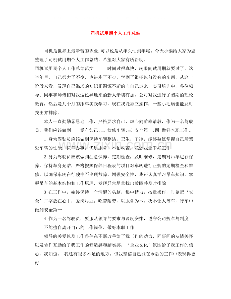 司机试用期个人工作总结.docx_第1页