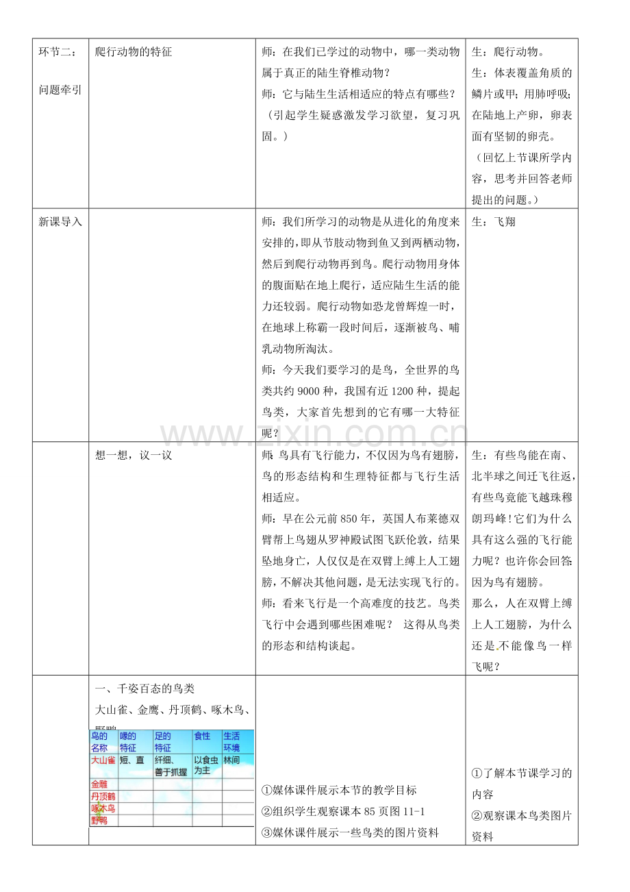 八年级生物上册 5.1.6 鸟教案 （新版）新人教版.doc_第2页