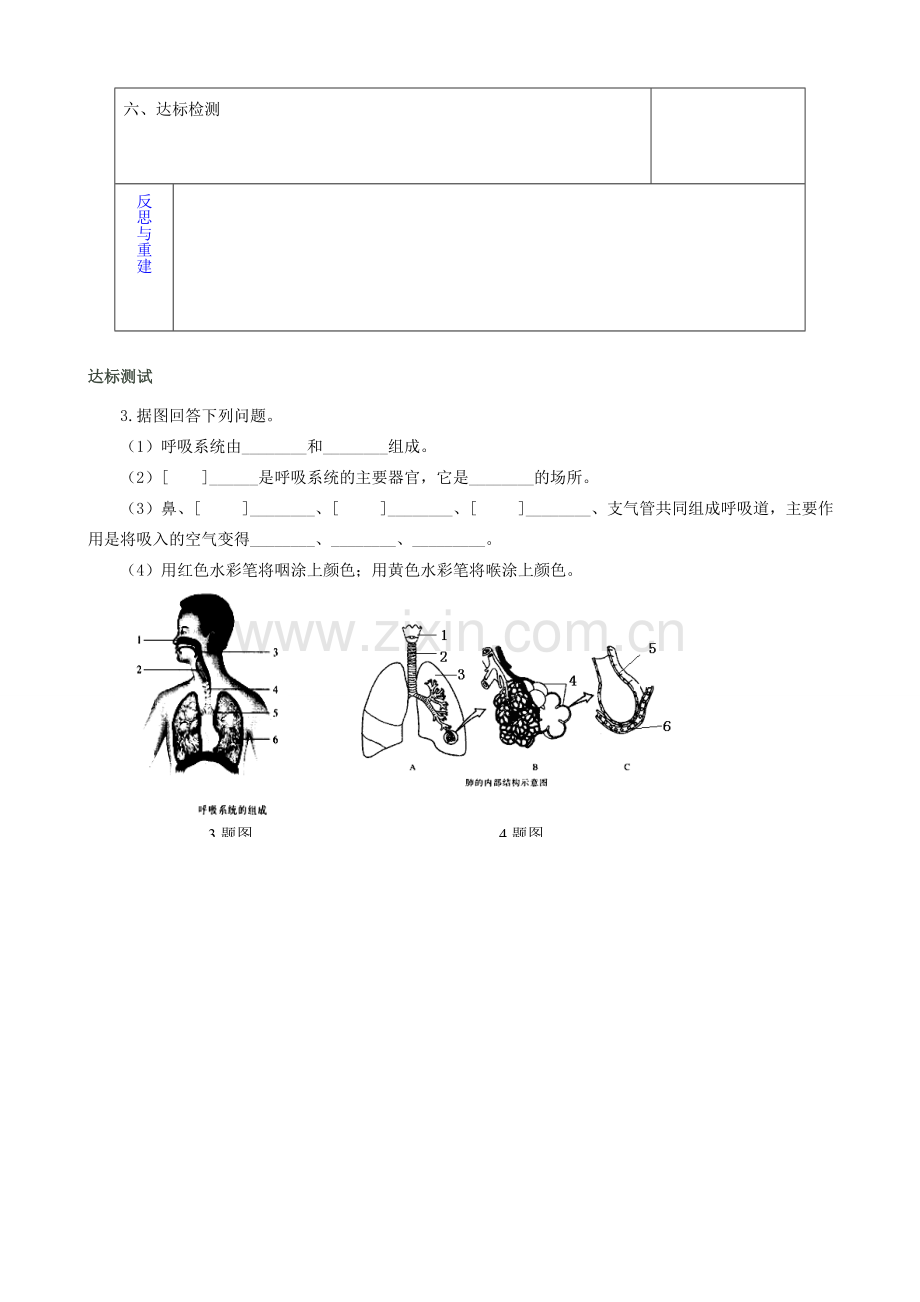 山东省淄博市临淄区第八中学七年级生物下册 第三章 人体的呼吸测试讲评教案 新人教版.doc_第3页