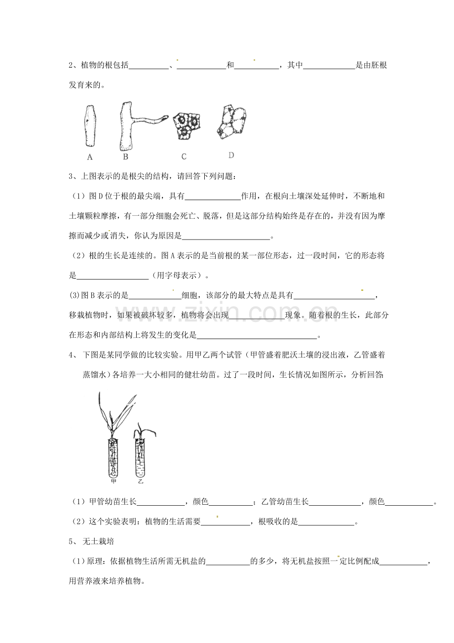 八年级生物上册 4.1.5根的结构和功能教学设计 （新版）济南版-（新版）济南版初中八年级上册生物教案.doc_第3页