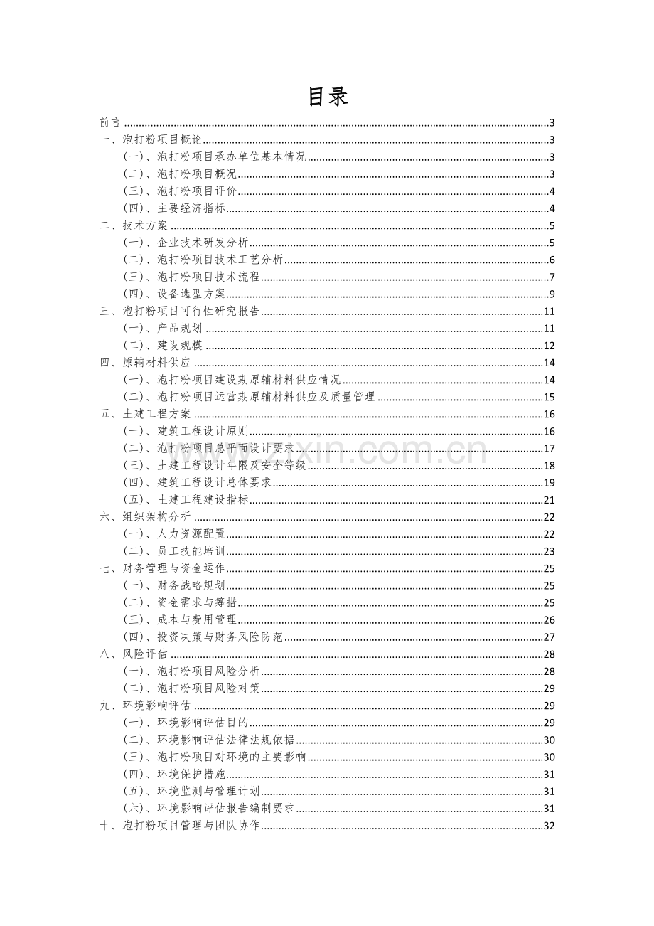 泡打粉项目可行性分析报告.docx_第2页