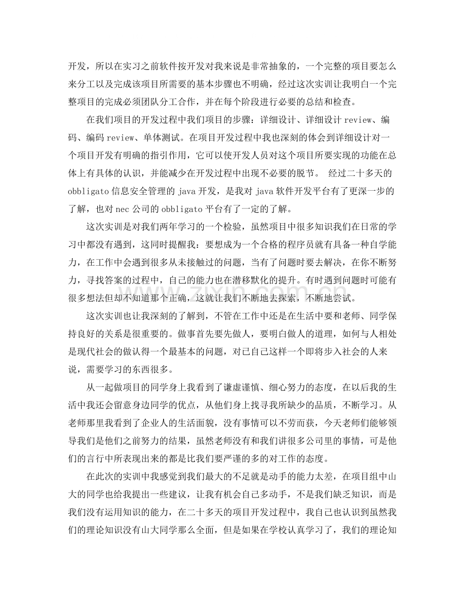 项目报告的总结怎么写.docx_第2页