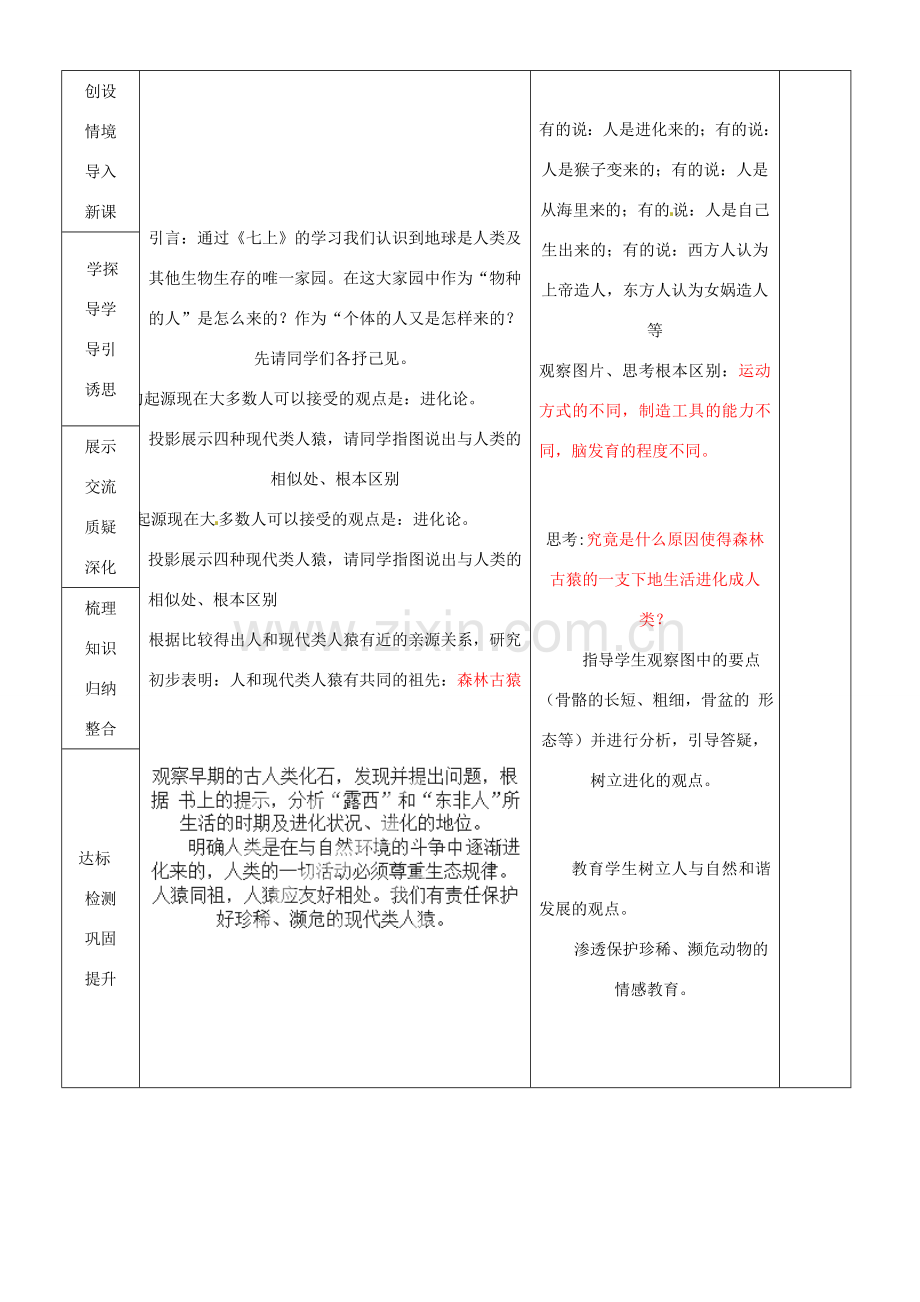 山东省临沂市蒙阴县第四中学七年级生物下册 4.1.1 人类的起源和发展教案 （新版）新人教版.doc_第2页