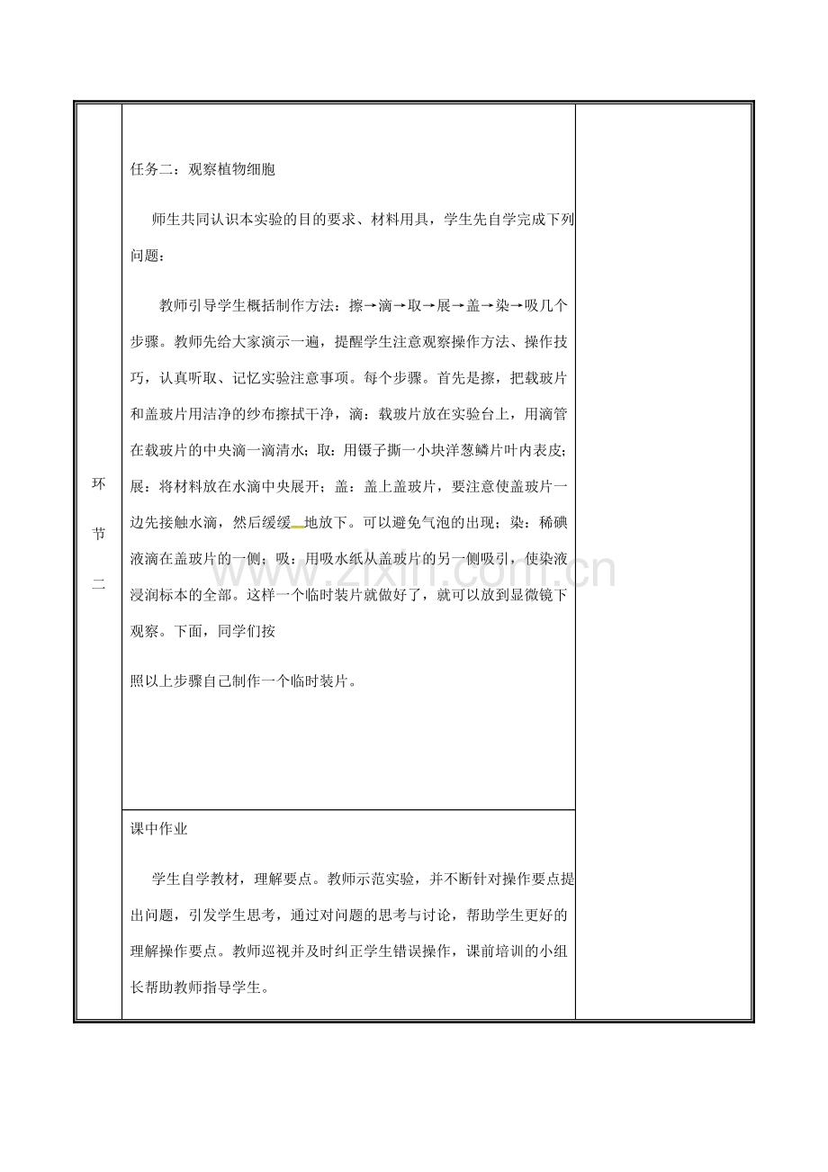 河南省中牟县七年级生物上册 2.1.2 植物细胞教案1 （新版）新人教版-（新版）新人教版初中七年级上册生物教案.doc_第3页