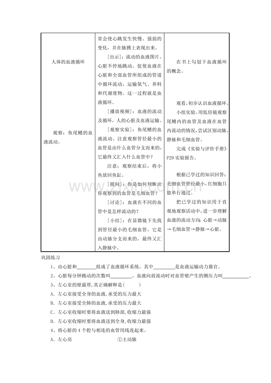 七年级生物下册 10.2人体内的血液循环（第2课时）教案 （新版）苏教版-（新版）苏教版初中七年级下册生物教案.doc_第3页