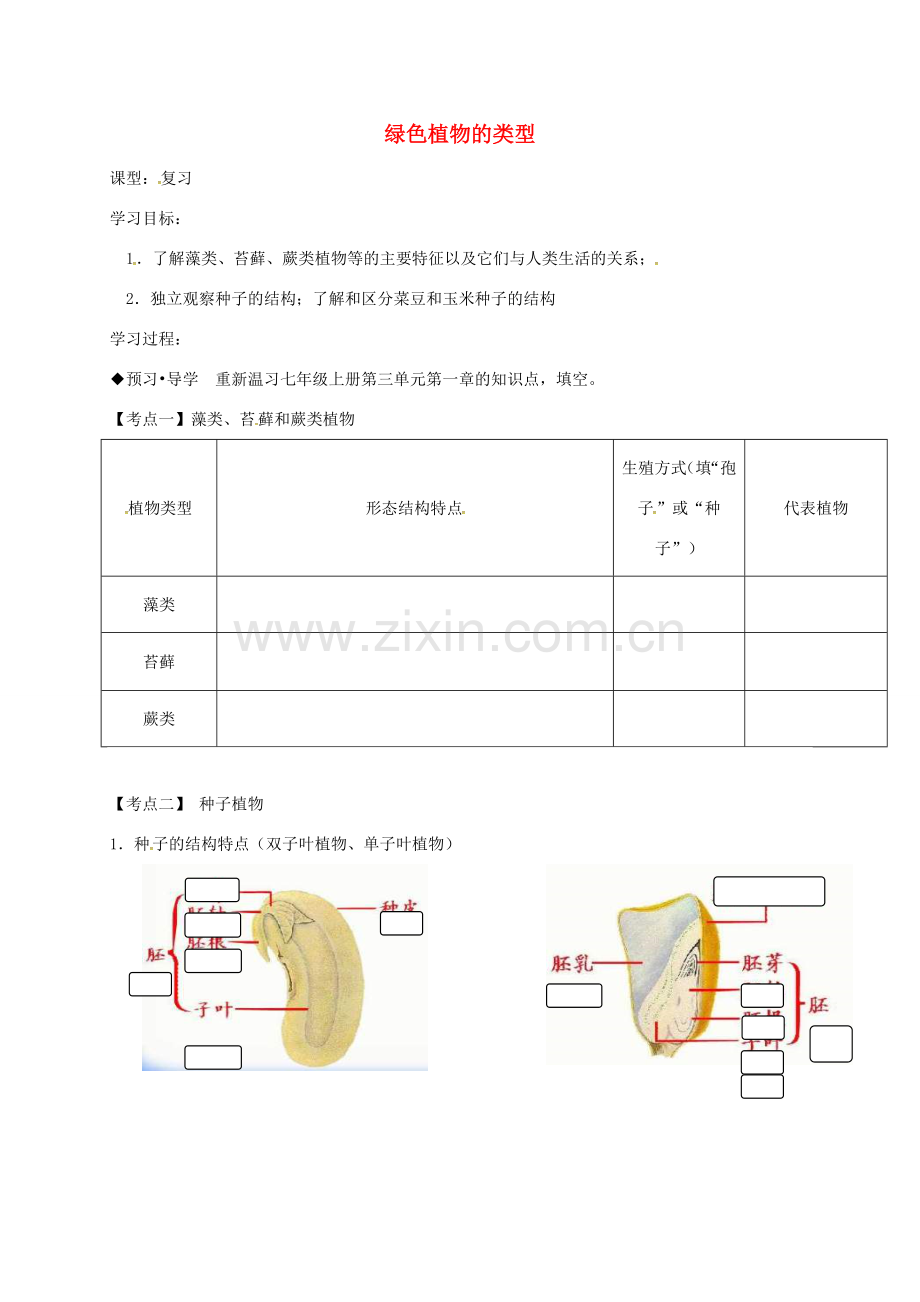 广东省河源市七年级生物上册 3.1绿色植物的类型讲学稿 （新版）新人教版-（新版）新人教版初中七年级上册生物教案.doc_第1页