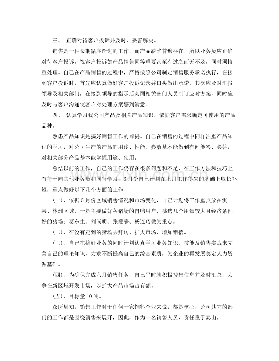 销售业务员年终工作总结范文 .docx_第2页