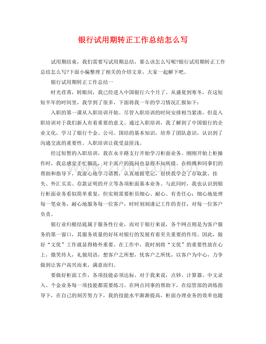 银行试用期转正工作总结怎么写 .docx_第1页