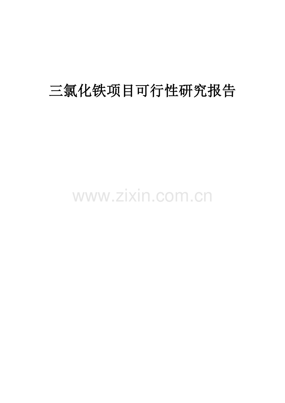 三氯化铁项目可行性研究报告.docx_第1页