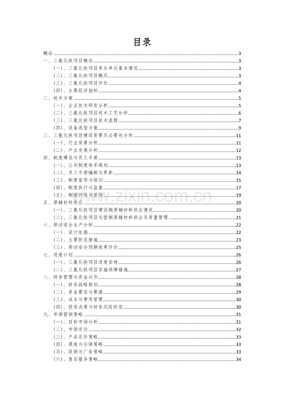 三氯化铁项目可行性研究报告.docx_第2页