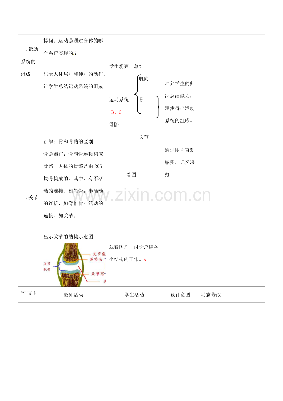 吉林省双辽市八年级生物上册 第五单元 第二章 第一节 动物的运动教案 （新版）新人教版-（新版）新人教版初中八年级上册生物教案.doc_第2页