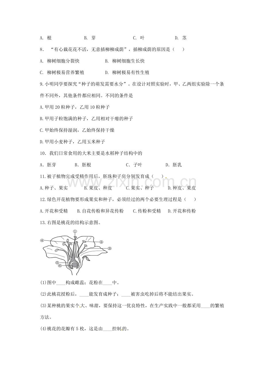 第20章 植物的生殖和发育 章复习教案.doc_第3页