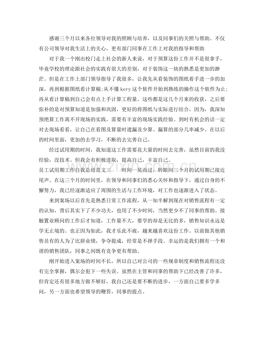 员工试用期工作自我总结 .docx_第3页