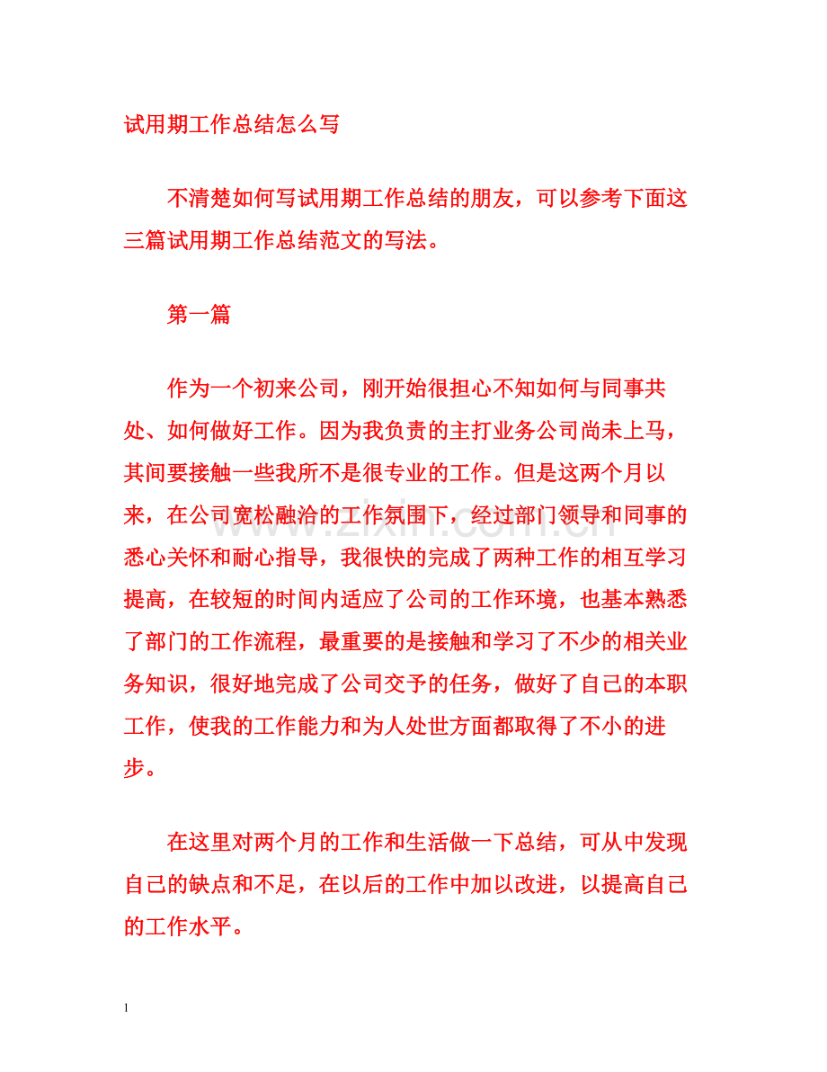 试用期工作总结怎么写.docx_第1页