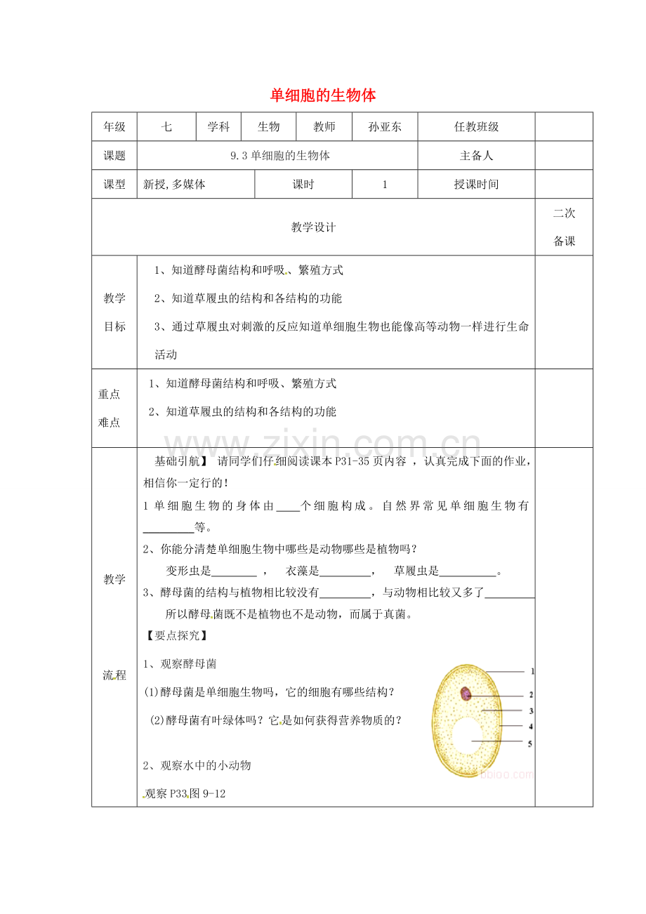 江苏省淮安市七年级生物下册 9.3单细胞的生物体教案 （新版）苏科版-（新版）苏科版初中七年级下册生物教案.doc_第1页