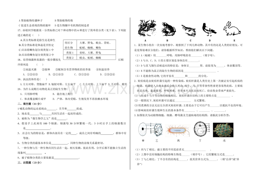 新河中学2018-2019学年第一学期八年级生物第三次月考试卷.doc_第2页