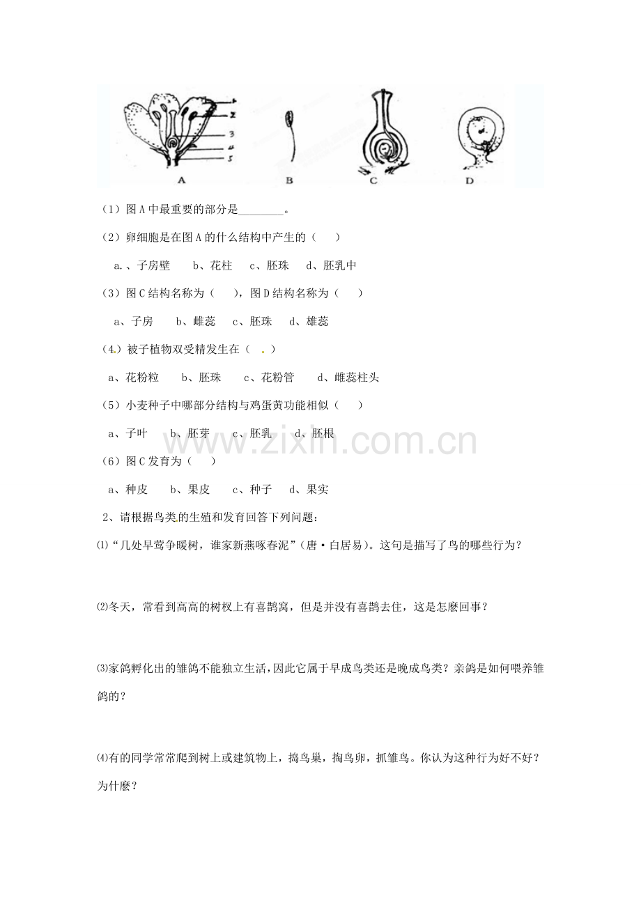 山东省肥城市湖屯镇初级中学八年级生物《生物的生殖和发育》教案 人教新课标版.doc_第3页