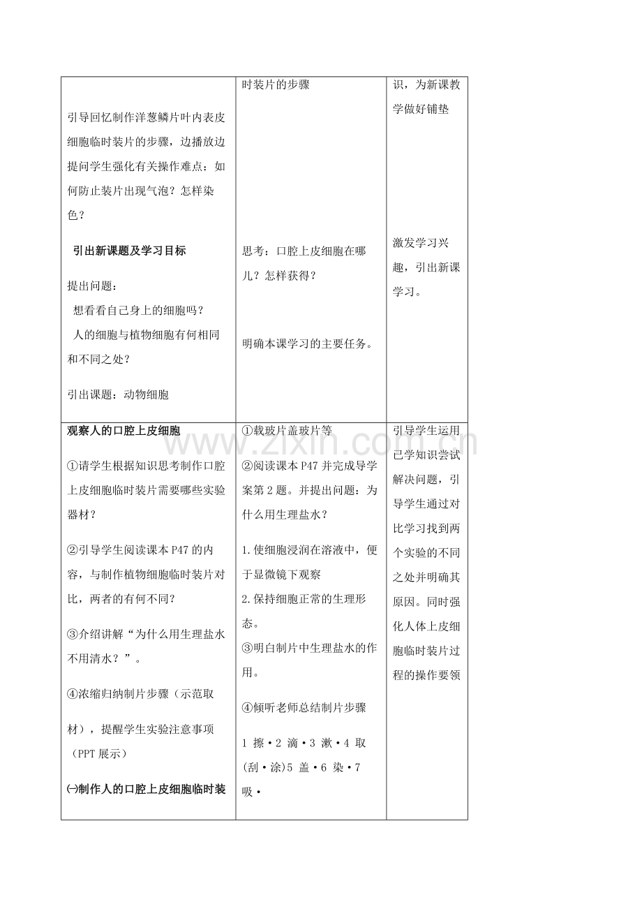 秋七年级生物上册 2.1.3 动物细胞教案 （新版）新人教版-（新版）新人教版初中七年级上册生物教案.doc_第2页