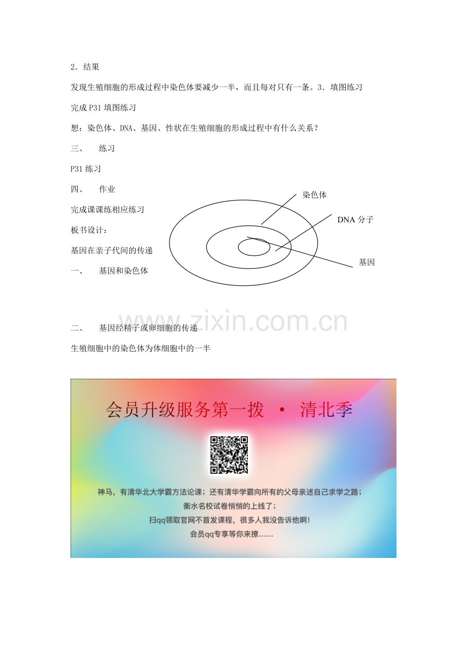 八年级生物下册 第七单元 生物圈中生命的延续和发展 第二章 生物的遗传和变异 第二节 基因在亲子代间的传递教案1（新版）新人教版-（新版）新人教版初中八年级下册生物教案.doc_第2页