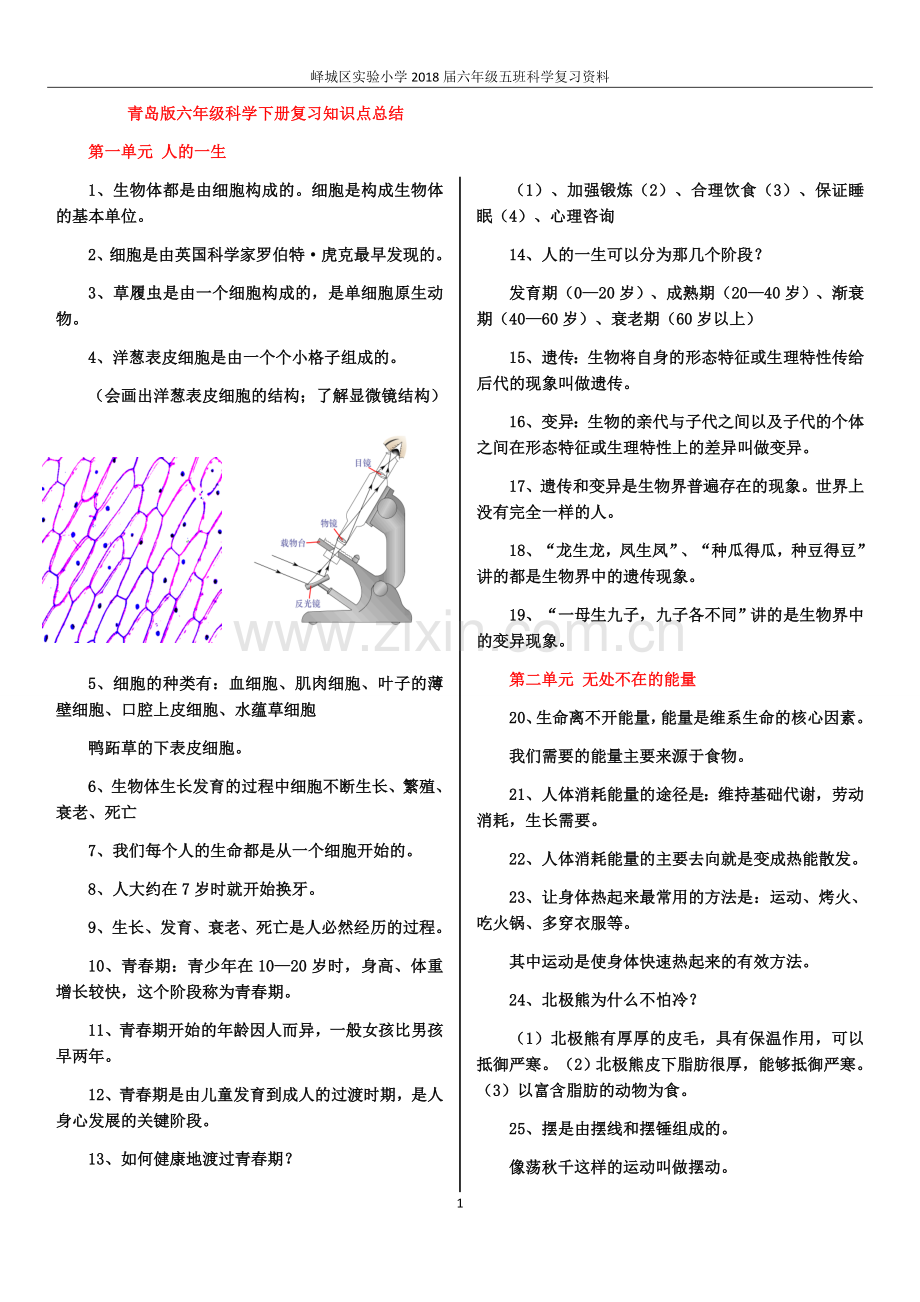 2018青岛版六年级科学下册总复习资料.doc_第1页