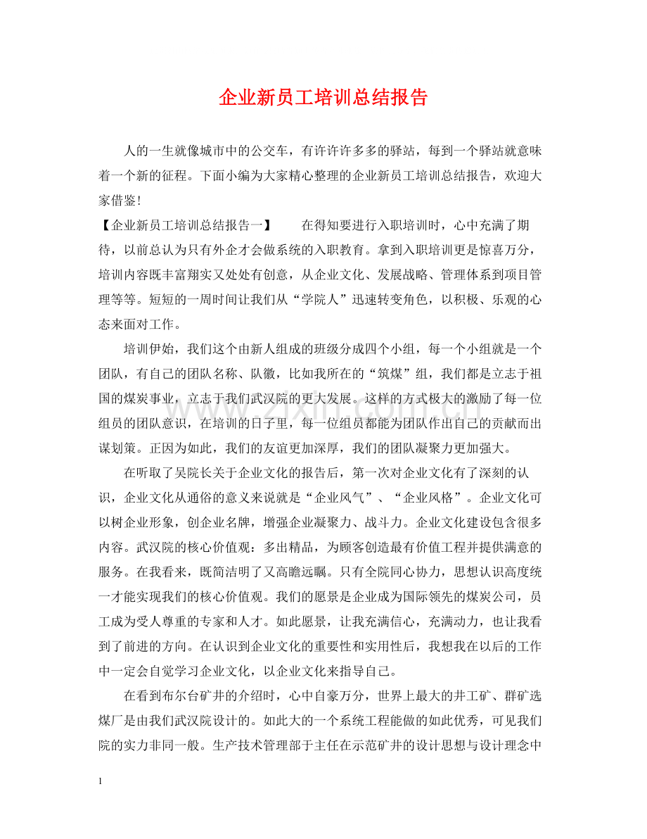 企业新员工培训总结报告.docx_第1页