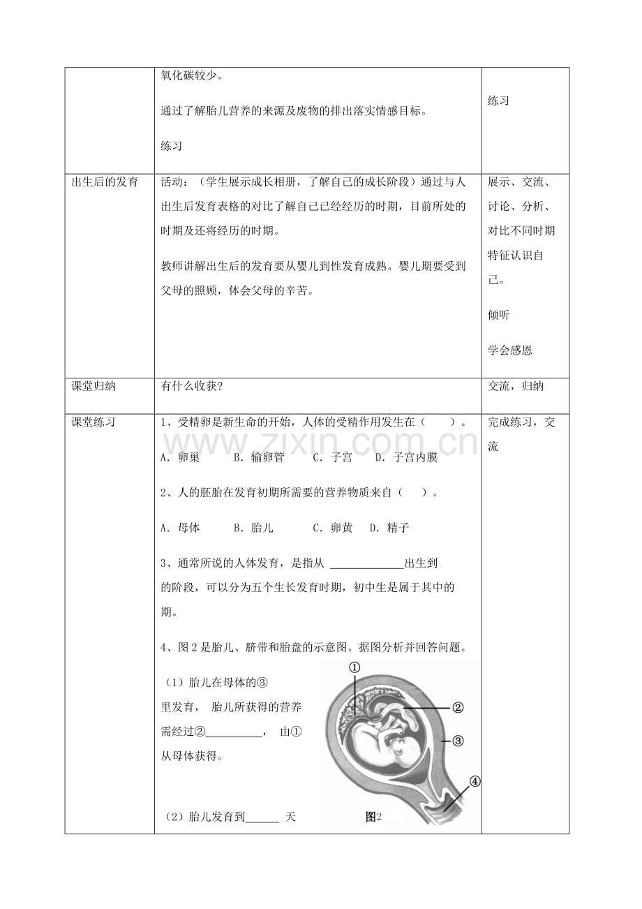 八年级生物上册 第六单元 第19章 第1节 人的生殖和发育（第2课时 新生命的孕育及出生后的发育）教学设计 北师大版-北师大版初中八年级上册生物教案.doc_第3页