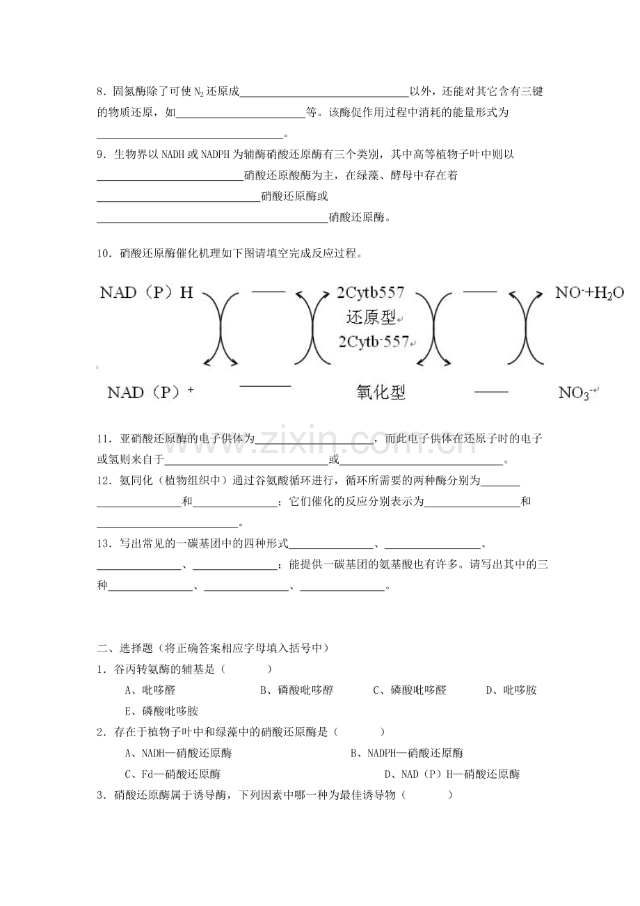 生物化学蛋白质的降解和氨基酸的代谢.doc_第2页