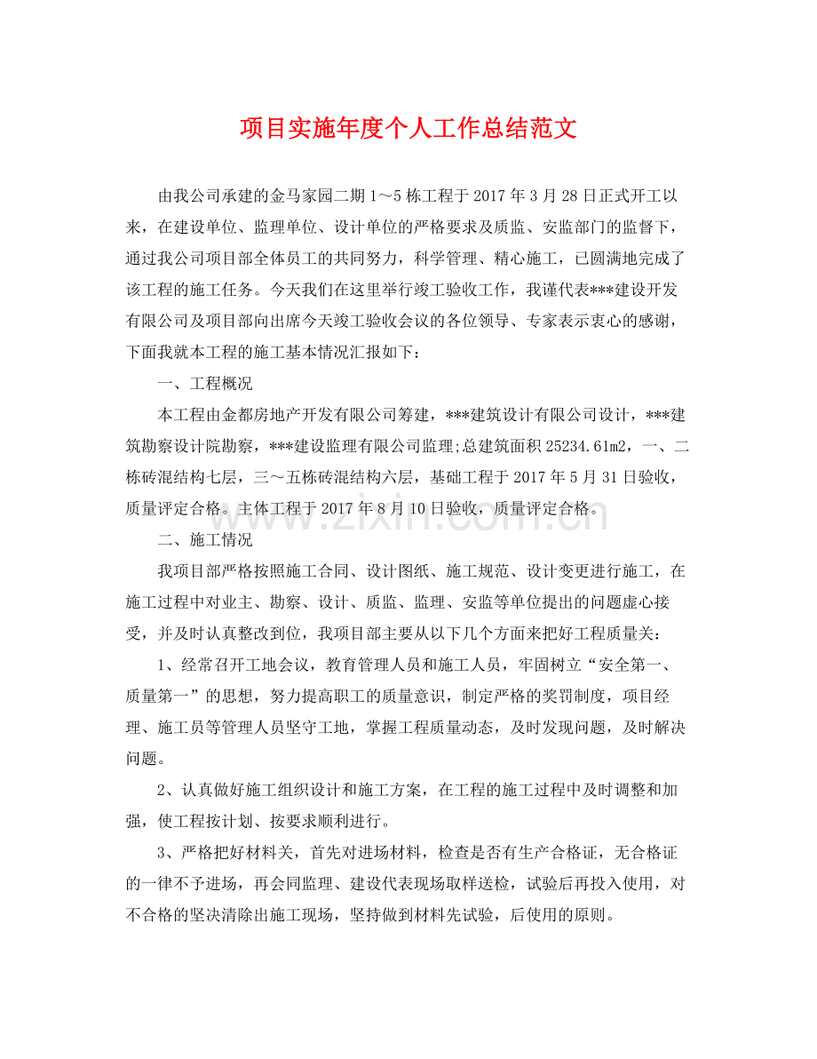 项目实施年度个人工作总结范文 .docx_第1页