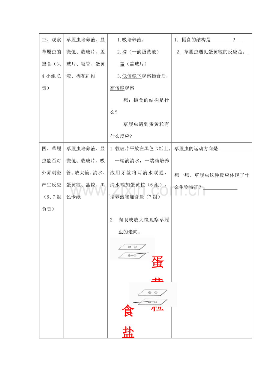 广东省东莞市南城阳光实验中学七年级生物上册 第二单元 第二章 第四节 单细胞生物——观察单细胞生物实验学案（无答案）（新版）新人教版.doc_第2页