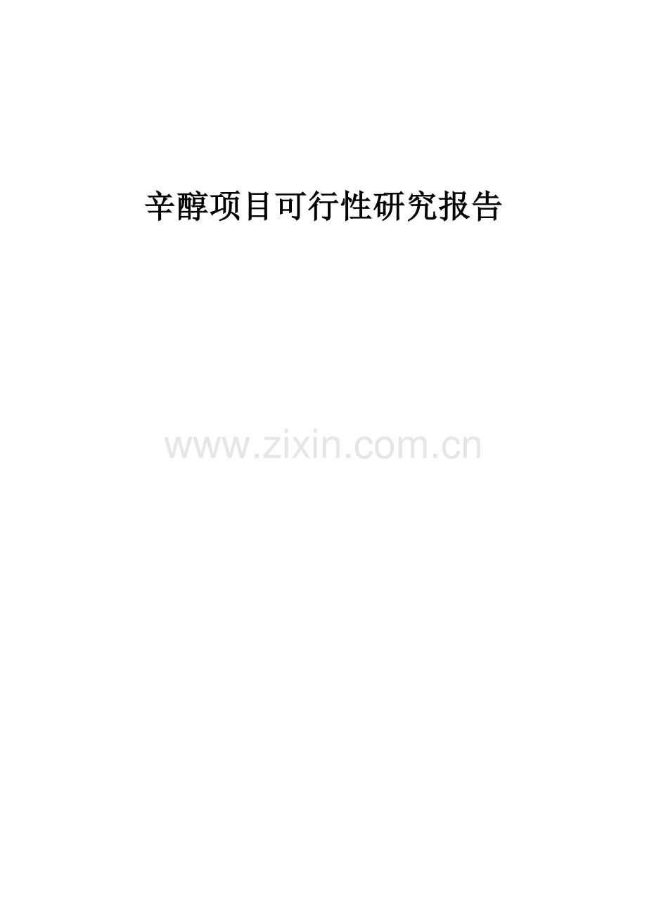 辛醇项目可行性研究报告.docx_第1页