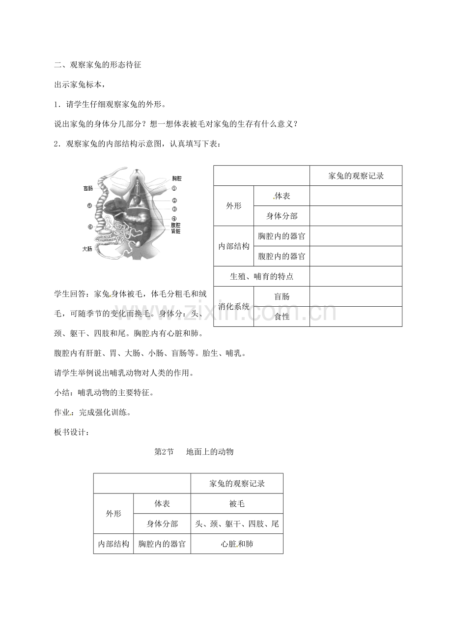 七年级生物下册 第9章《地面上的生物》复习教案 苏科版.doc_第2页