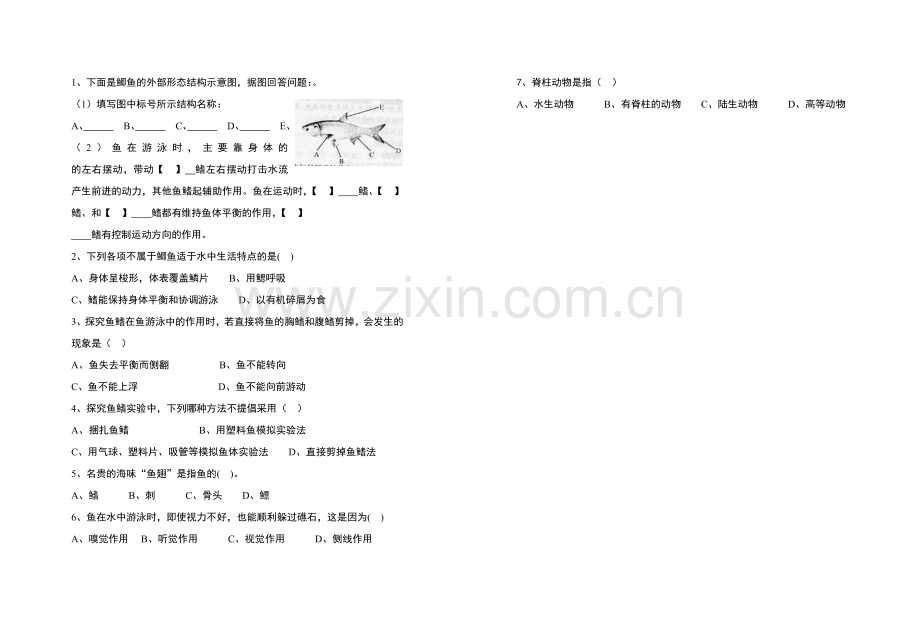 八年级生物 水中生活的动物(第一课时)教案 人教版.doc_第2页